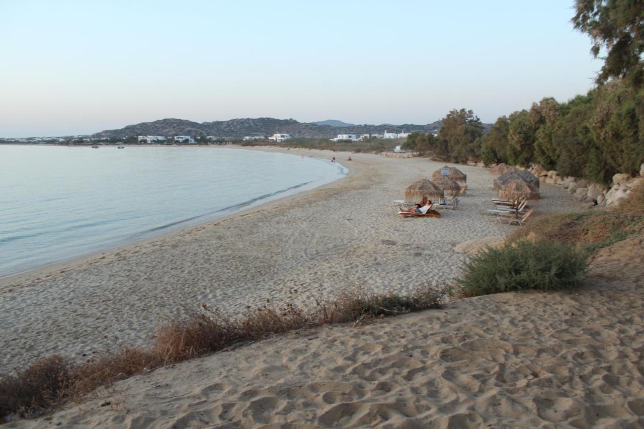Villa Paradise In Naxos Pláka Extérieur photo