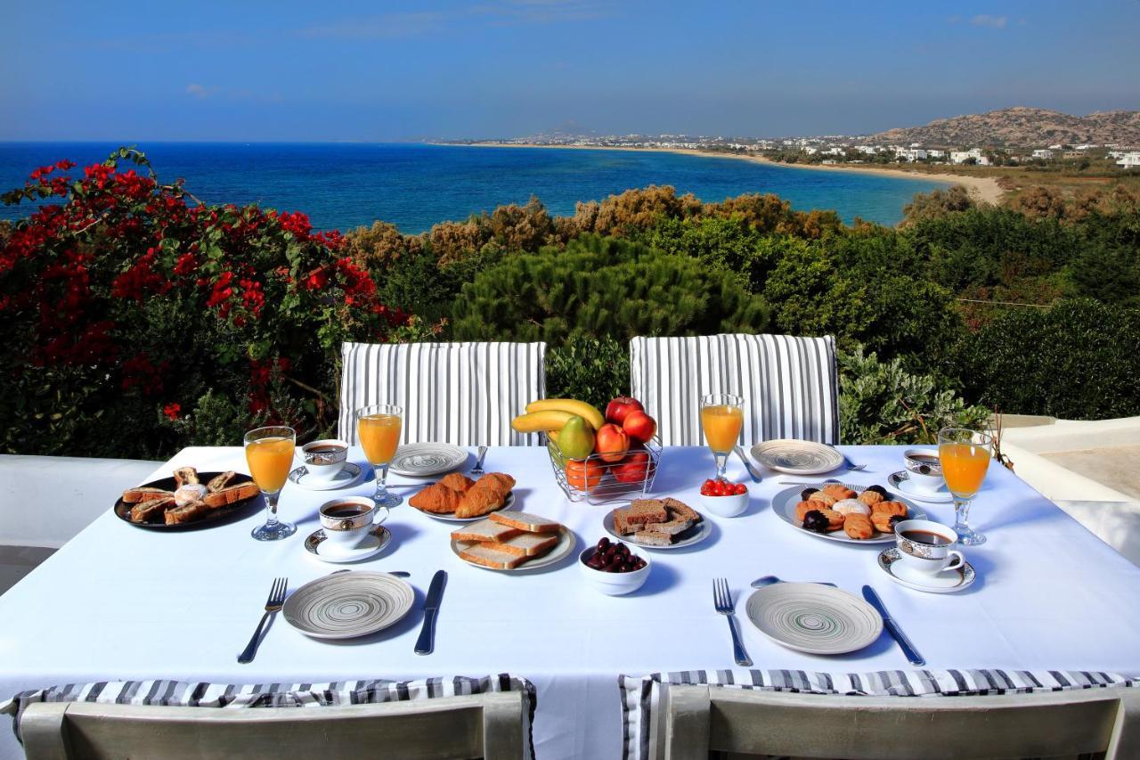 Villa Paradise In Naxos Pláka Extérieur photo